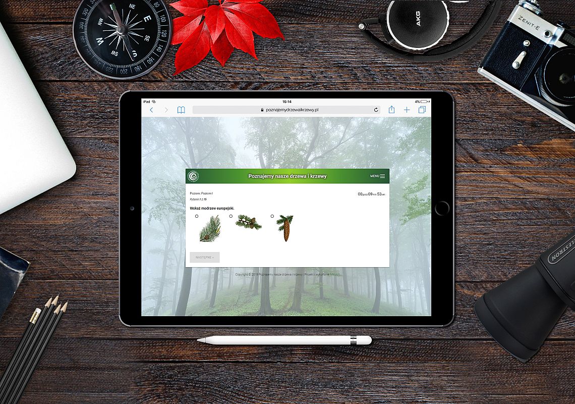 Sprawdź ile się nauczyłeś