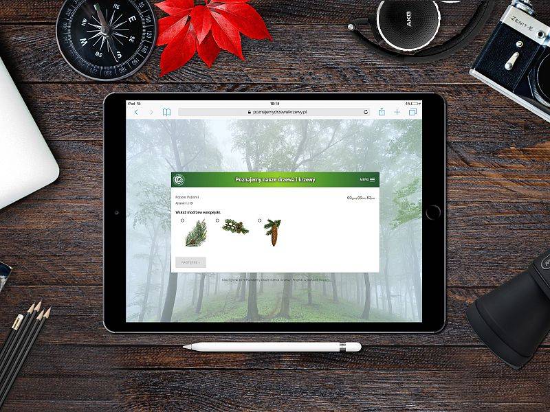 Sprawdź ile się nauczyłeś